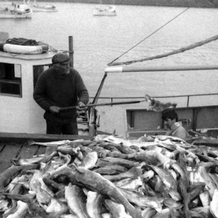 Jóhann Stefánsson og Gísli Jóhannsson að landa úr Gunnari