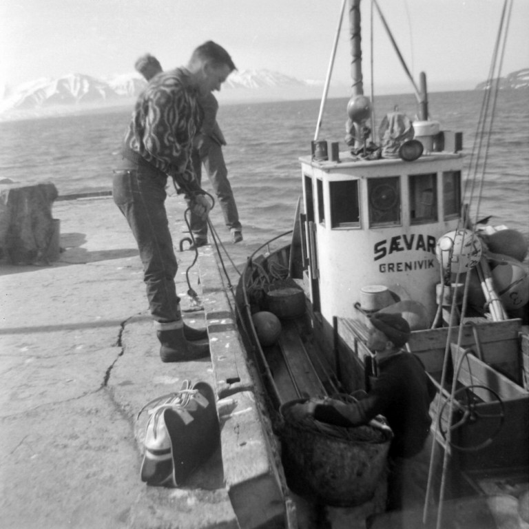 Balarnir teknir úr Sævari