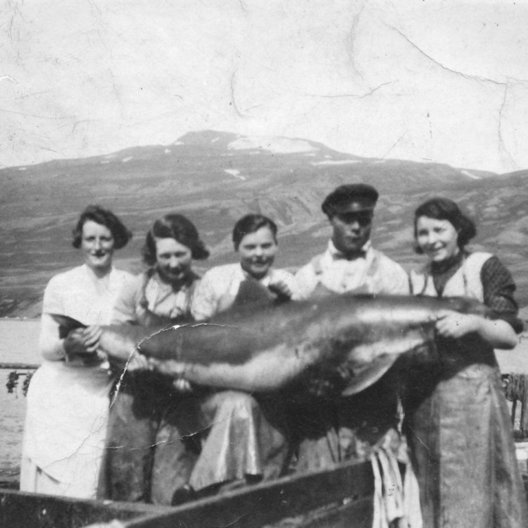 Hólmfríður Björnsdóttir, Unnur Friðriksdóttir, Elín Bessadóttir, Gunnþór Hallgrímsson og Bára Eyfjörð Jónsdóttir með hnísu í fanginu.