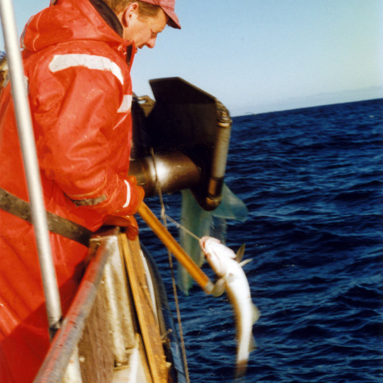 Friðrik Þorsteinsson goggar