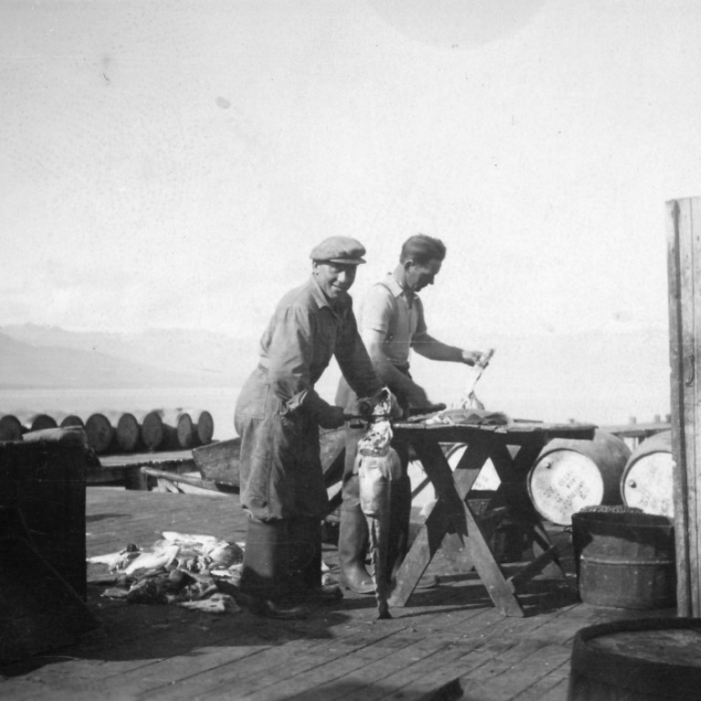 Vernharður Oddgeirsson og Alfreð Pálsson í aðgerð