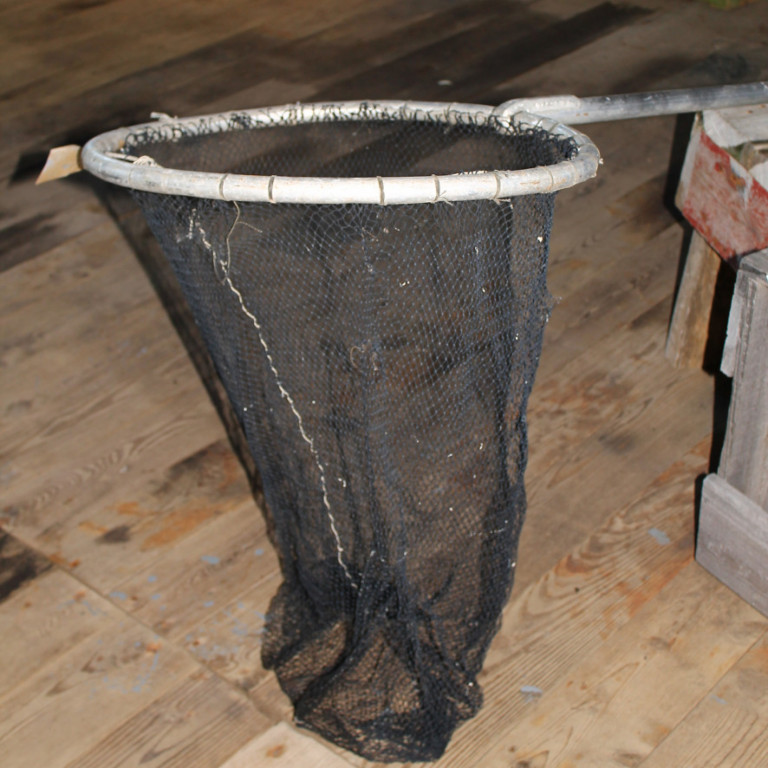 Loðnuháfur Stefáns Stefánssonar á Sólgörðum