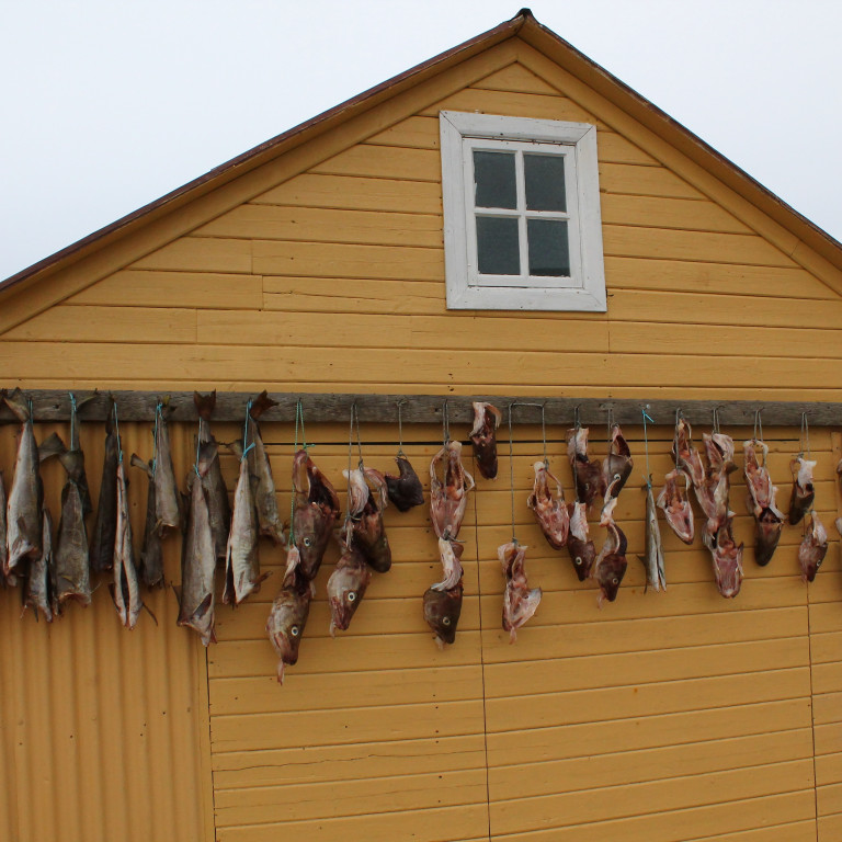 Tilvonandi harðfiskur